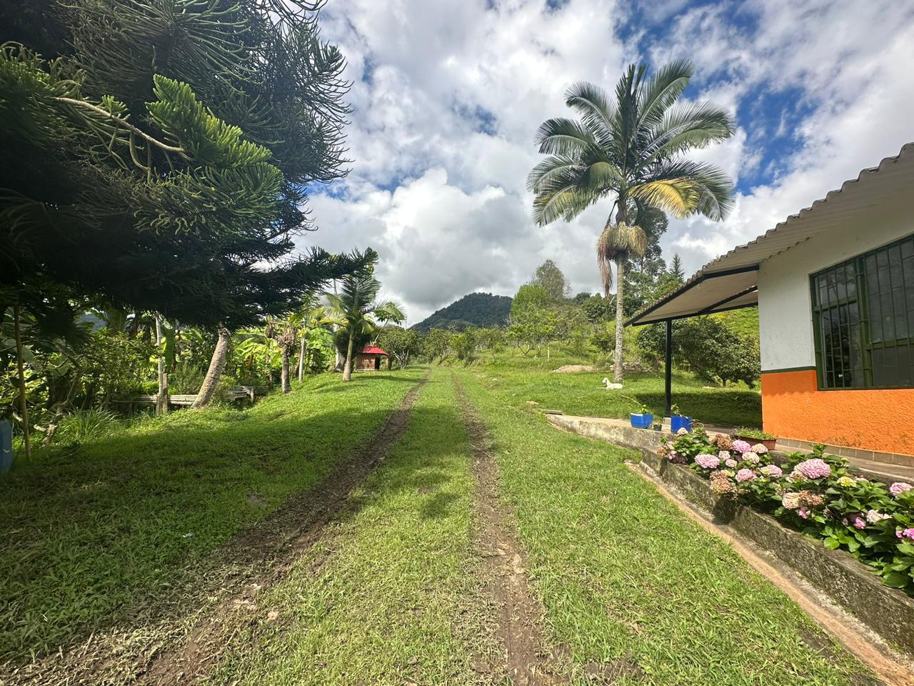 Finca las Palmas