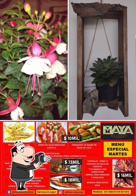 Maya Restaurant